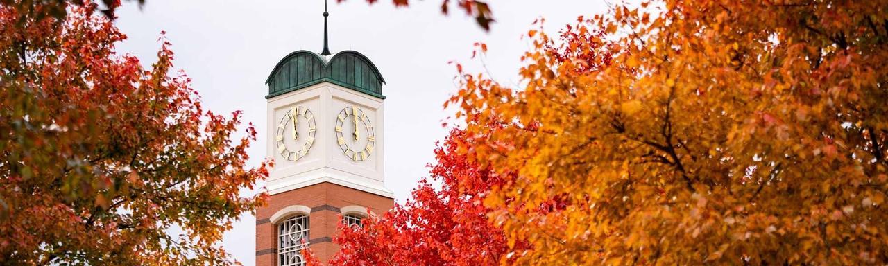Cook Carillon Tower rises behind colorful fall trees
